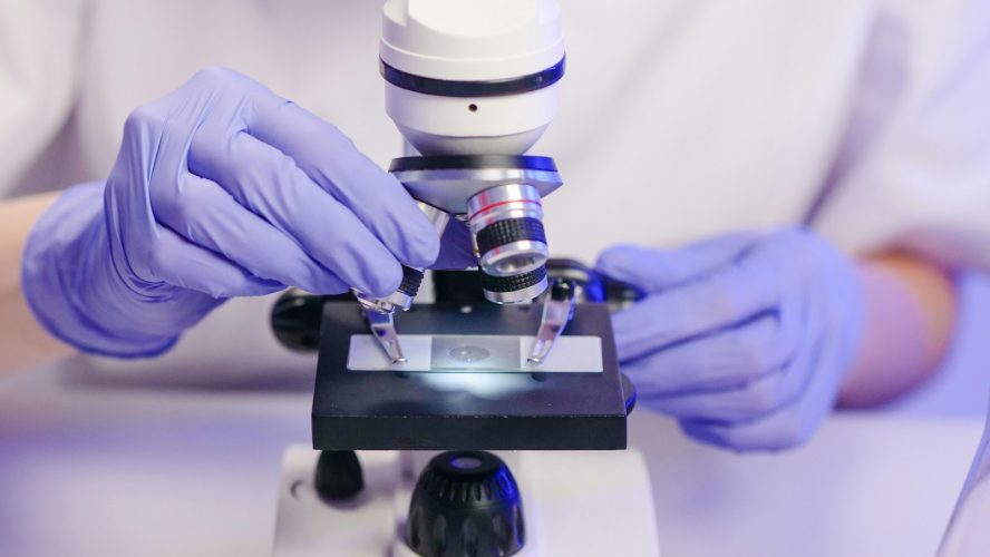 Revelando o invisível: uma jornada pelas lâminas e lamínulas no mundo microscópico